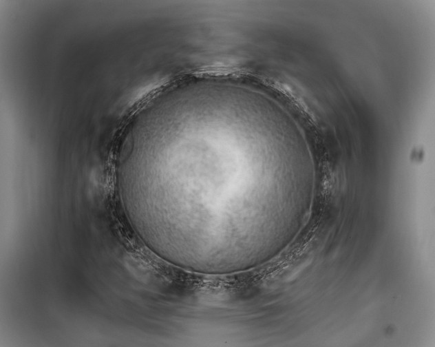 X0000100201350200805301301
