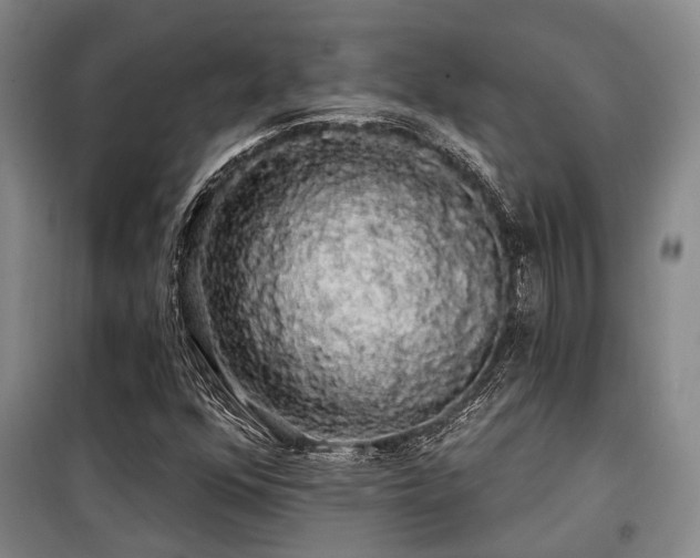 X0000100201352200805301301