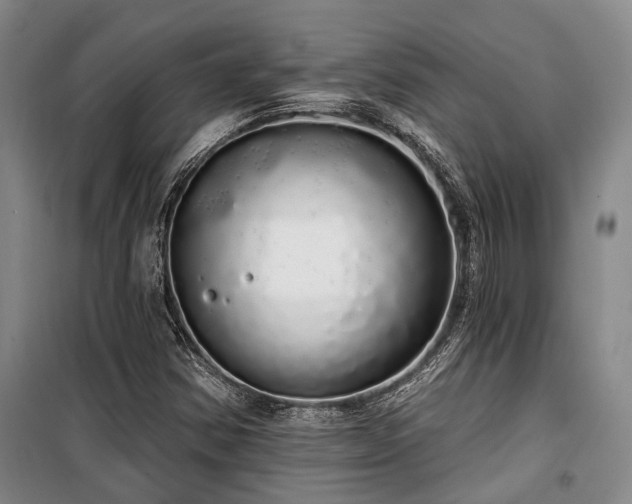 X0000100201354200805301301