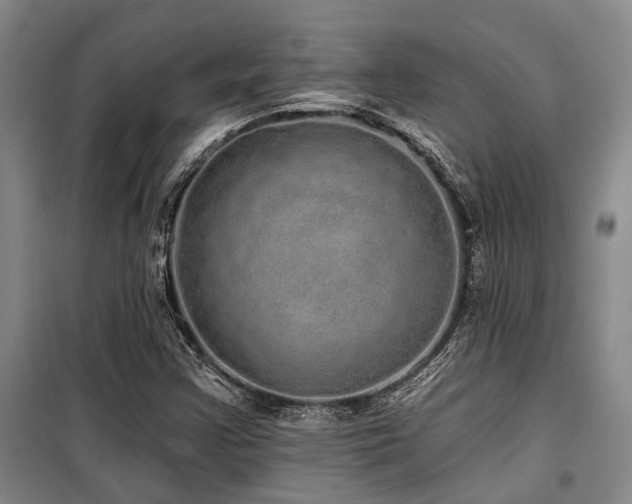 X0000100201355200805301301