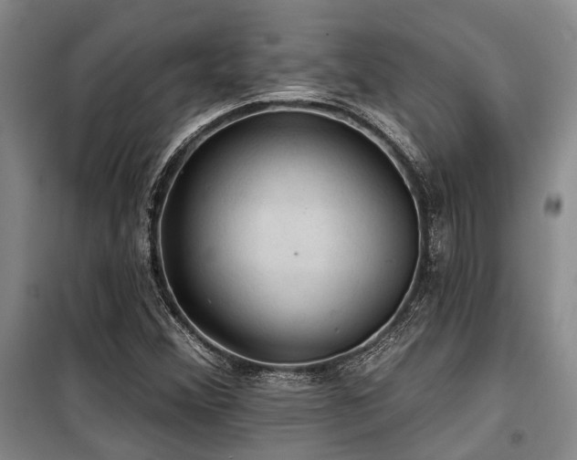 X0000100201356200805301301