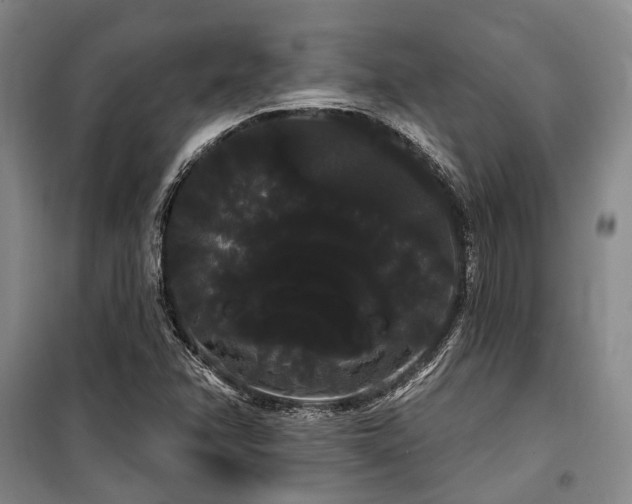 X0000100201358200805301301