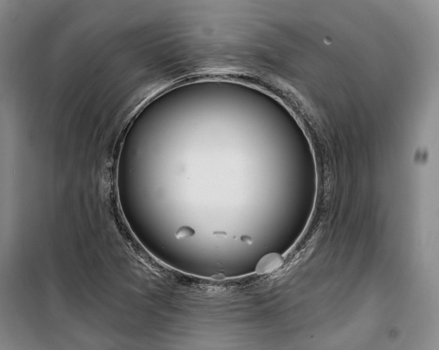 X0000100201361200805301301
