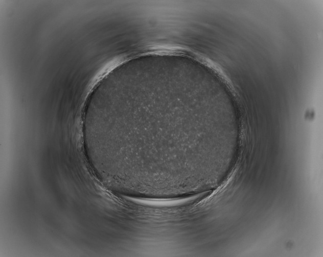 X0000100201362200805301300