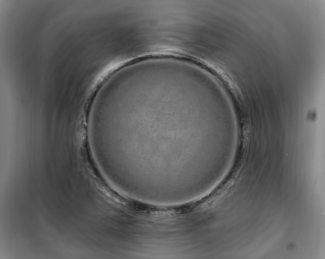 X0000100201363200805301300