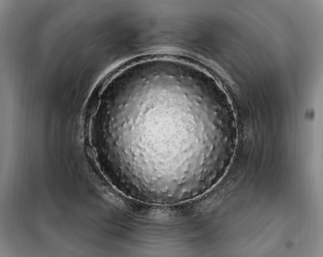 X0000100201364200805301300