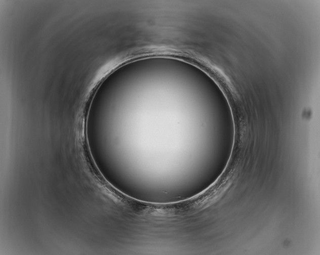 X0000100201365200805301300