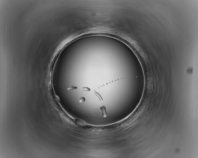 X0000100201366200805301300