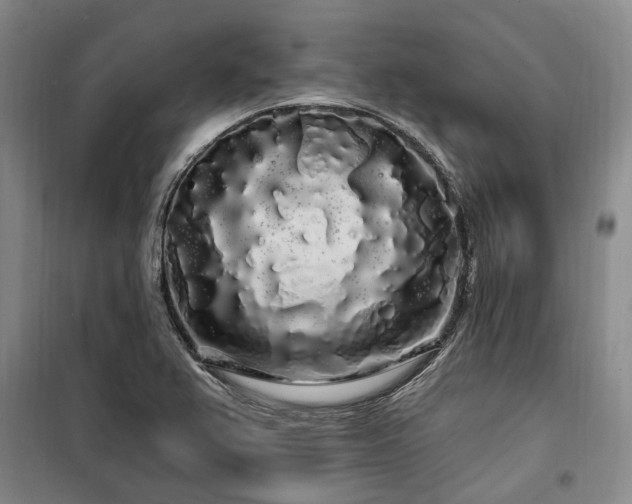X0000100201367200805301300