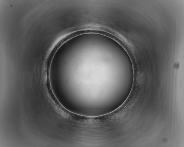 X0000100201368200805301300