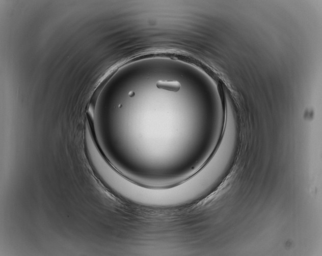 X0000100201369200805301300