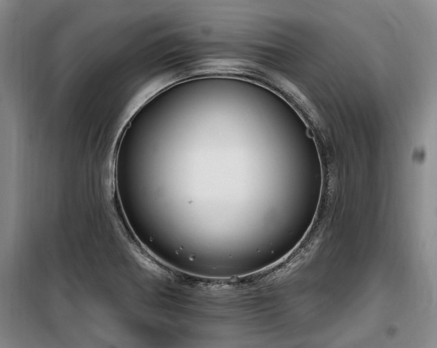 X0000100201370200805301300