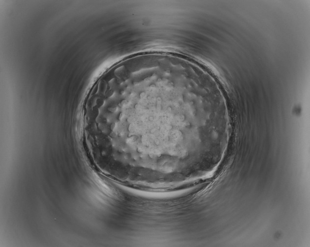 X0000100201371200805301300