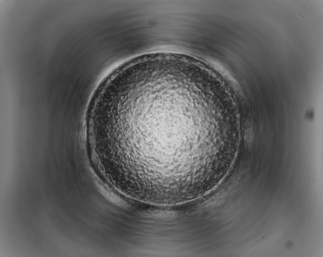 X0000100201372200805301300