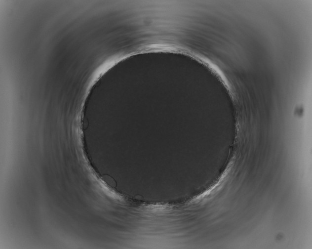 X0000100201373200805301300