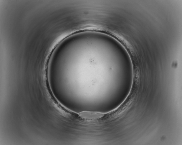 X0000100201375200805301300