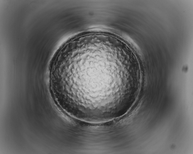 X0000100201376200805301300