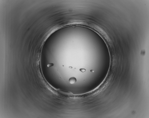 X0000100201377200805301300