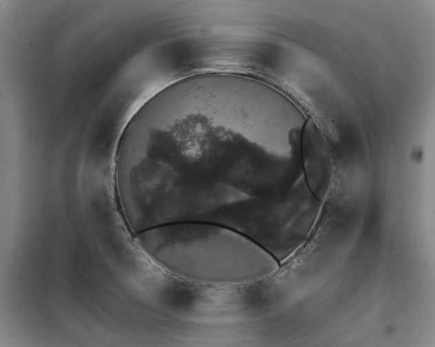 X0000100201378200805301300
