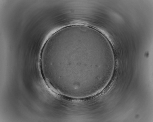 X0000100201379200805301300