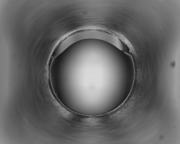 X0000100201380200805301300