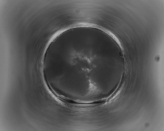 X0000100201381200805301300