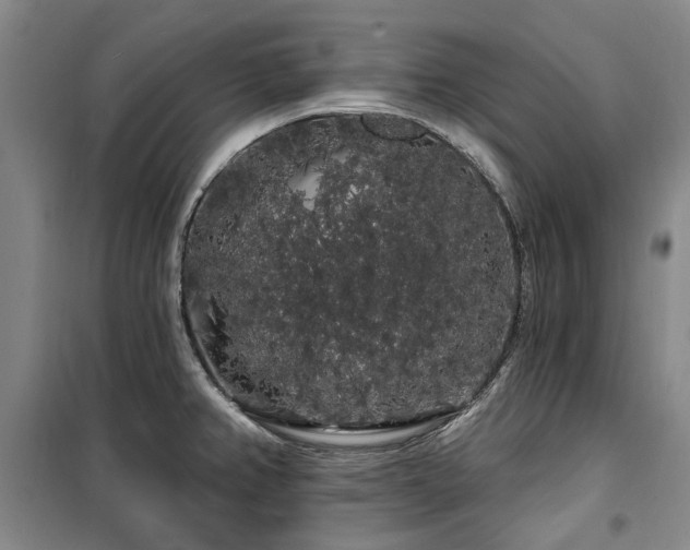 X0000100201382200805301300