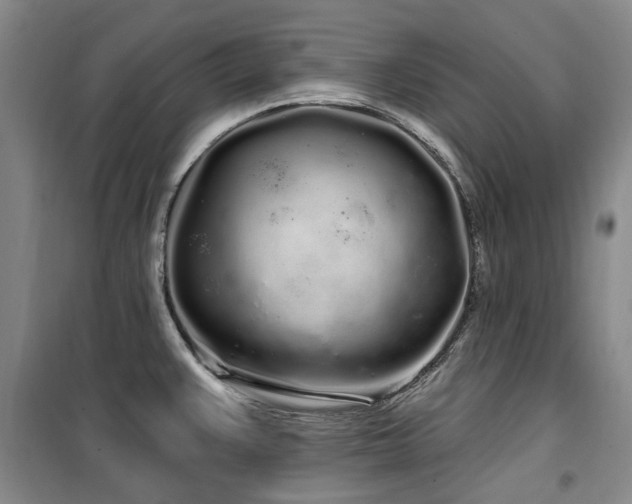 X0000100201383200805301300