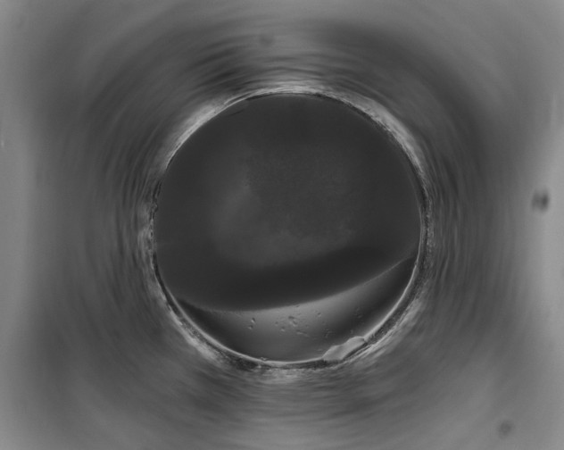 X0000100201385200805301300
