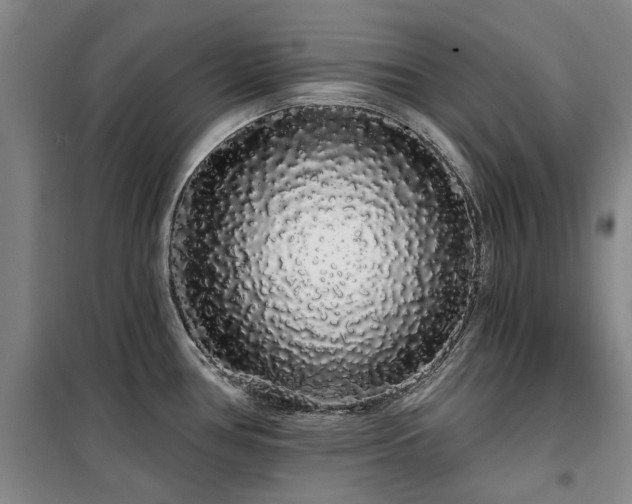 X0000100201386200805301300