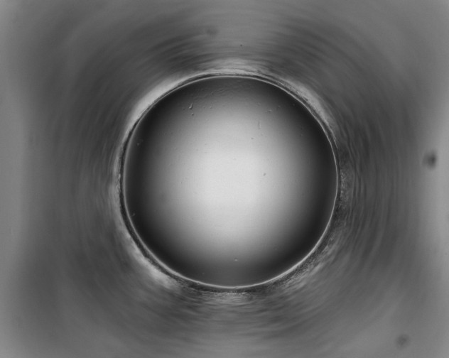 X0000100201387200805301300