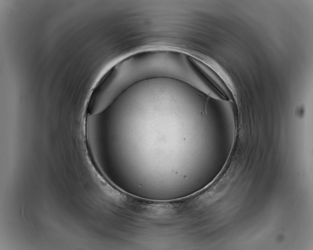 X0000100201388200805301300