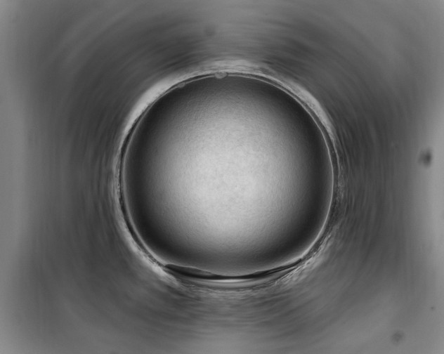X0000100201389200805301300