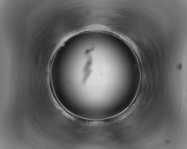 X0000100201390200805301300