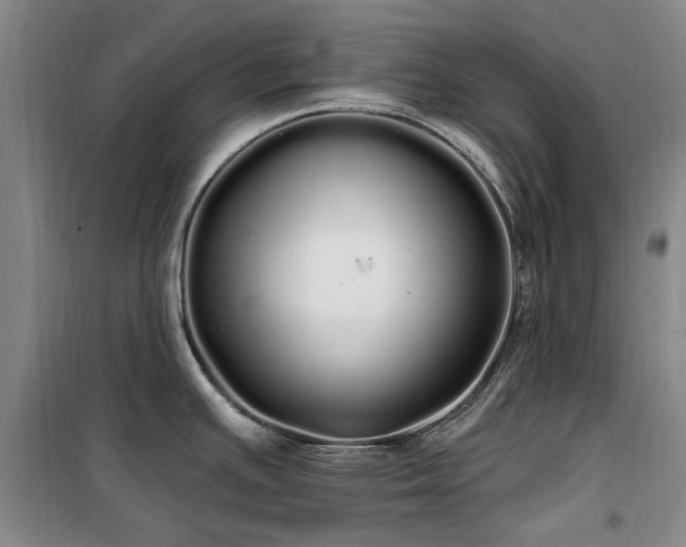 X0000100201391200805301300