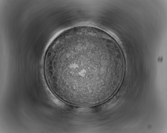 X0000100201392200805301300