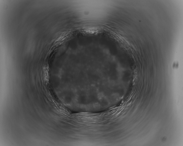 X0000100201394200805301259