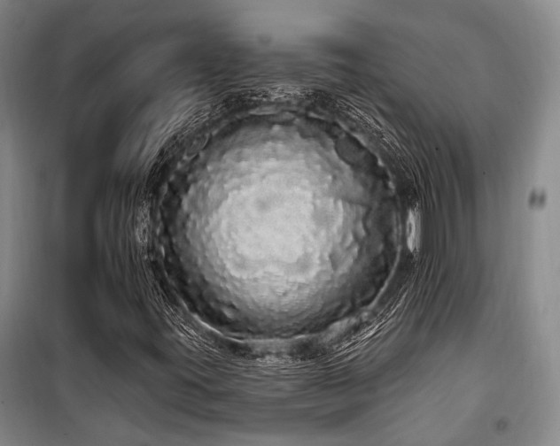 X0000100201395200805301259