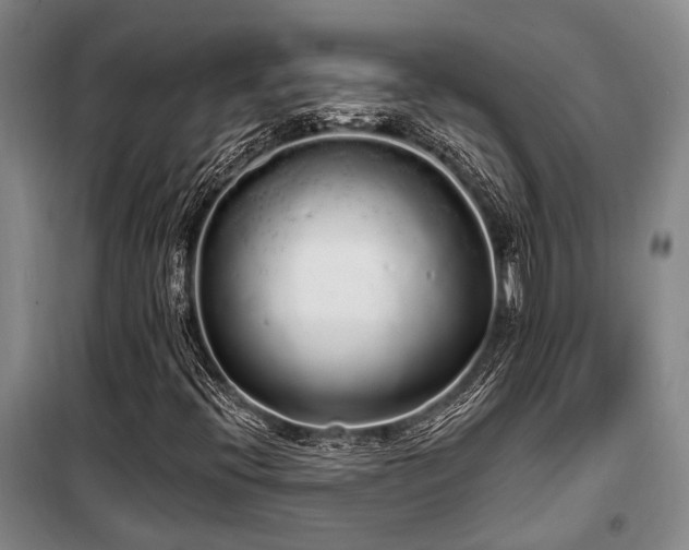 X0000100201396200805301259