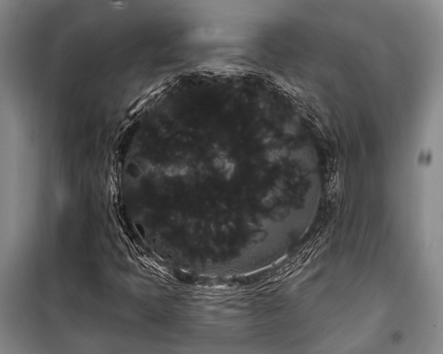 X0000100201397200805301259
