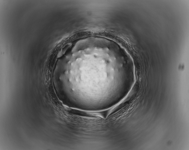 X0000100201398200805301259
