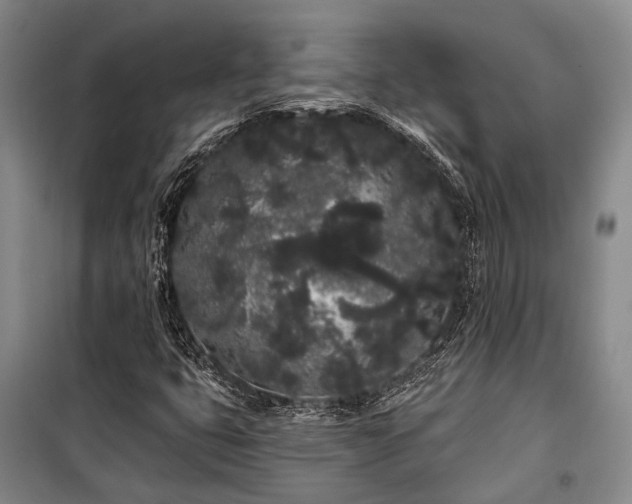 X0000100201399200805301259