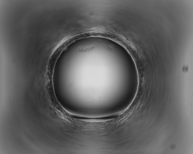X0000100201400200805301259