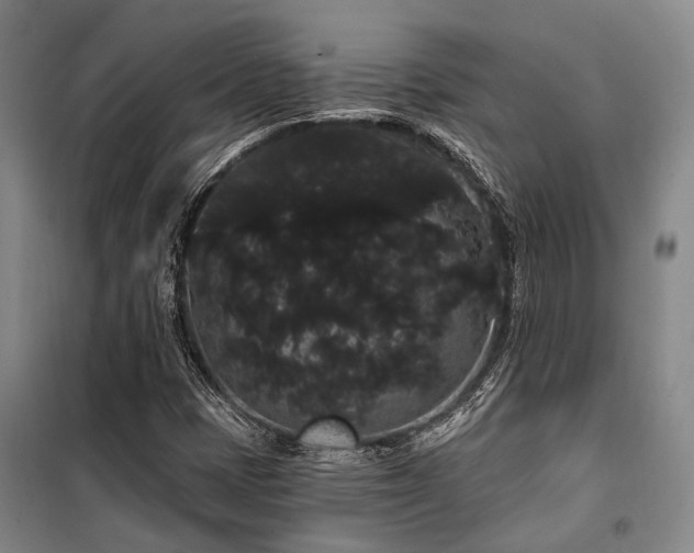 X0000100201401200805301259