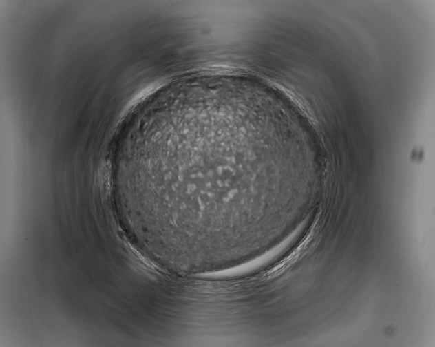 X0000100201402200805301259