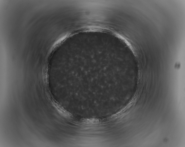 X0000100201403200805301259