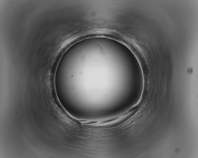 X0000100201404200805301259