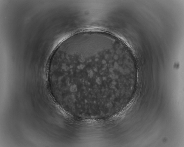 X0000100201405200805301259