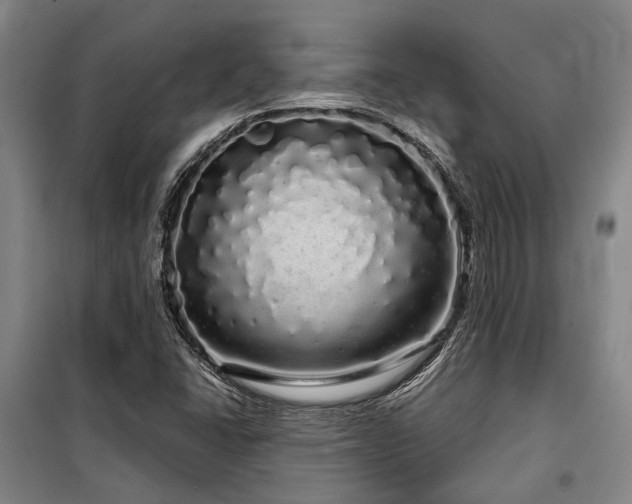 X0000100201406200805301259
