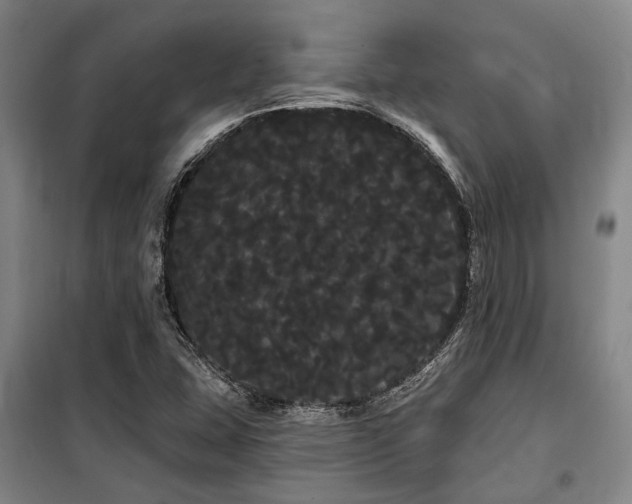X0000100201407200805301300